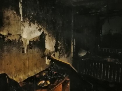 Следователи устанавливают обстоятельства гибели трех человек при пожаре в Шилове
